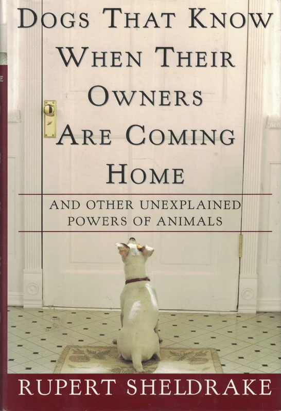 roundaboutbookstore-11784303