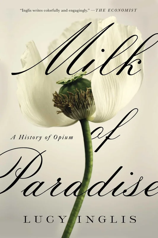roundaboutbookstore-11817533