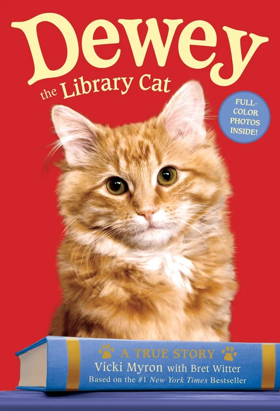roundaboutbookstore-11833885