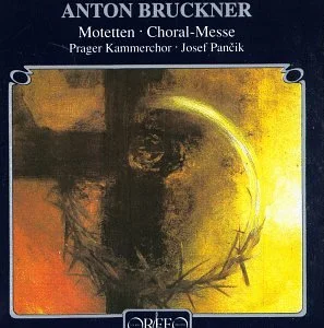 roundaboutbookstore-11838904