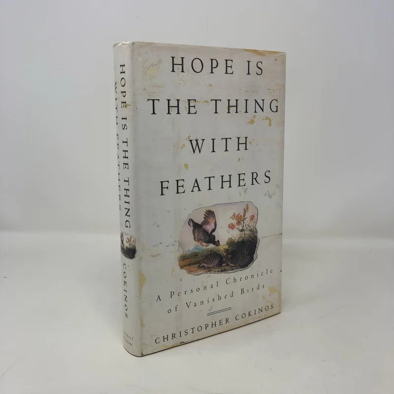 roundaboutbookstore-11863462