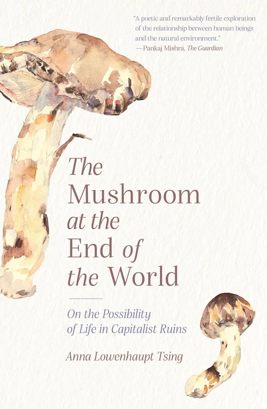 roundaboutbookstore-11869780