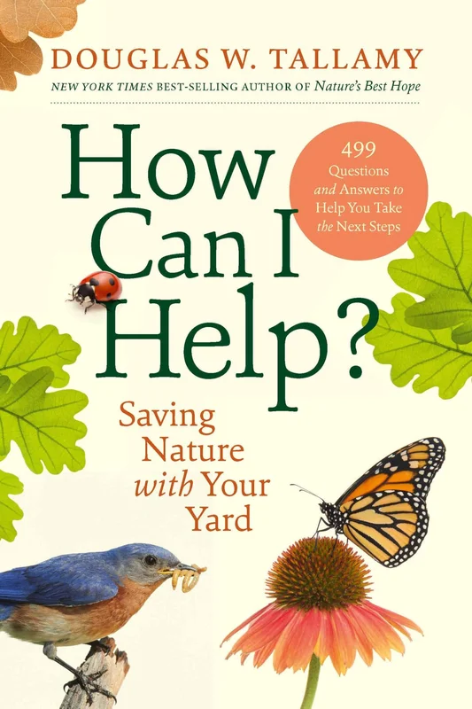 roundaboutbookstore1095046