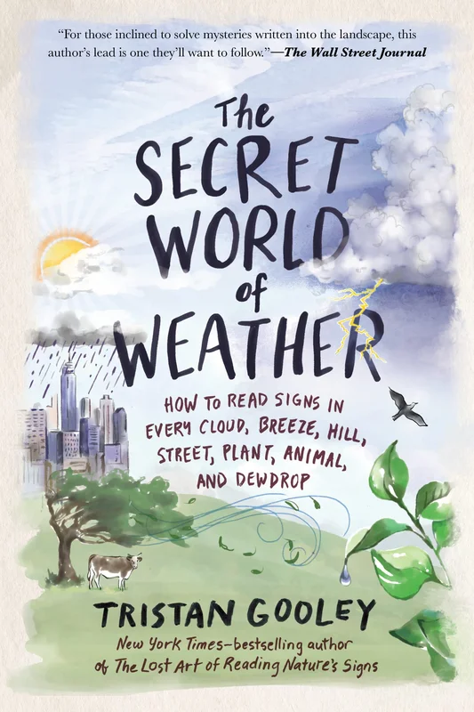 roundaboutbookstore1118227