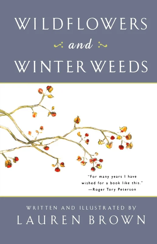 roundaboutbookstore1248679