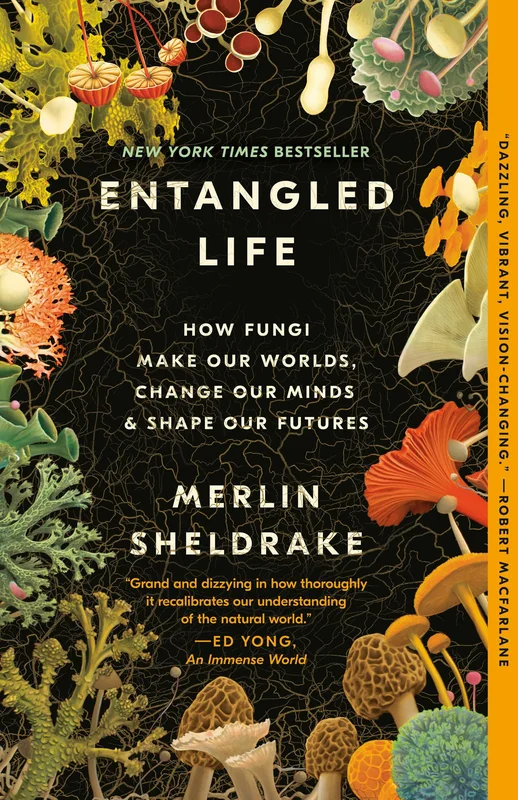 roundaboutbookstore1269690