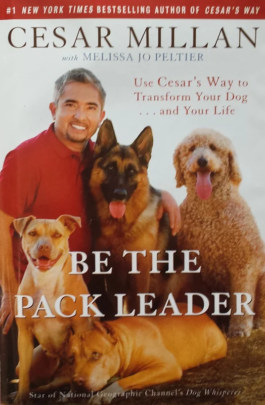 roundaboutbookstore1372558