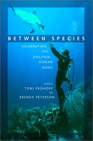 roundaboutbookstore1372748