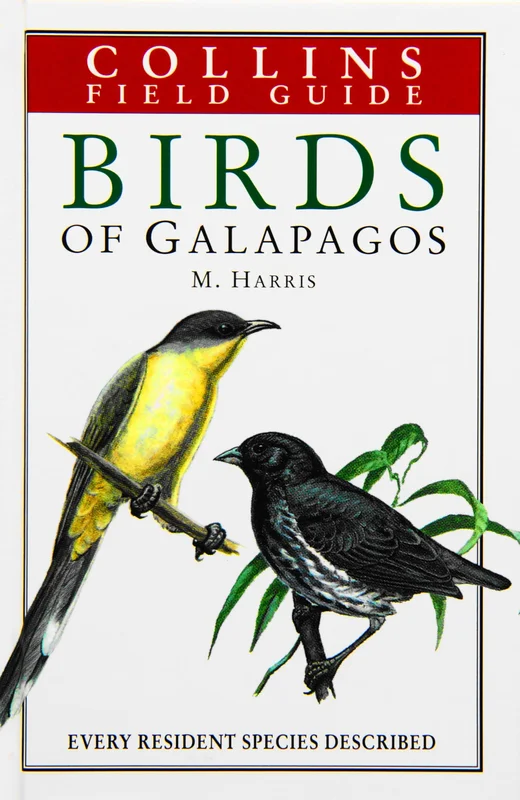 roundaboutbookstore1373700