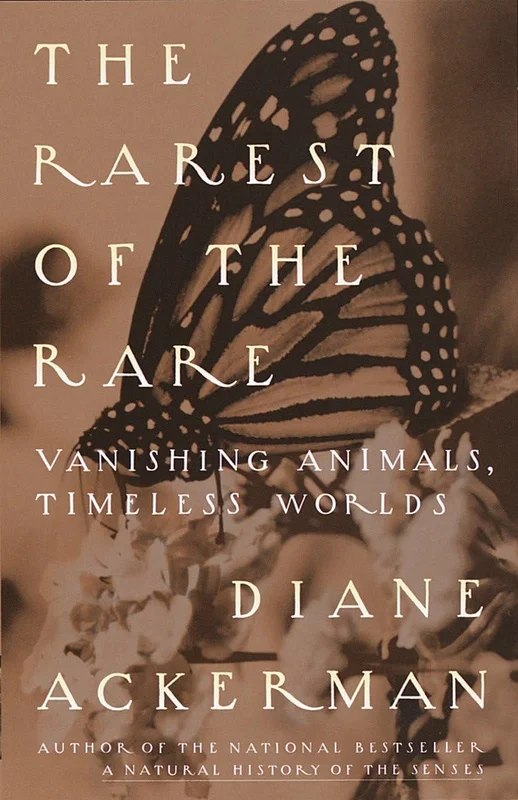 roundaboutbookstore1374686