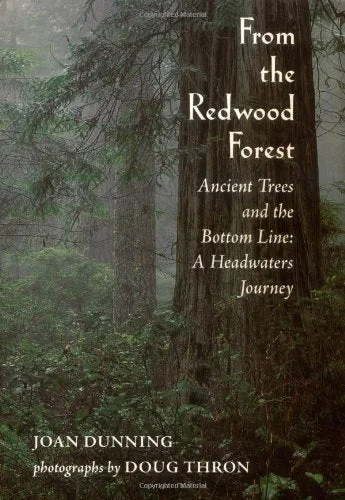 roundaboutbookstore1375037