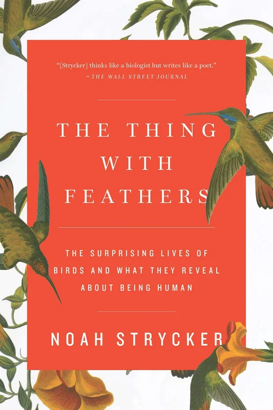 roundaboutbookstore1376142