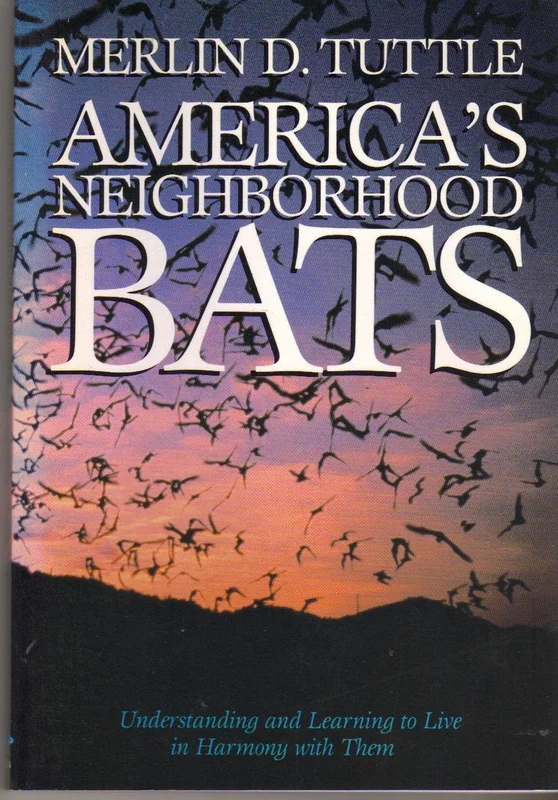 roundaboutbookstore1376343