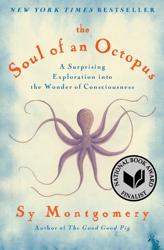 roundaboutbookstore924435
