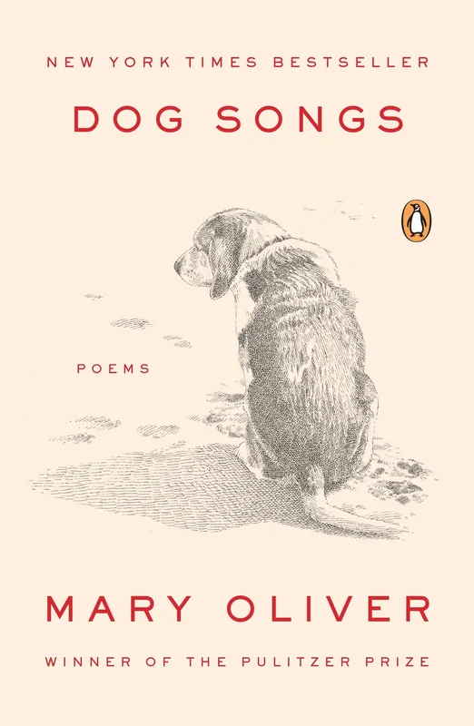 roundaboutbookstore958619