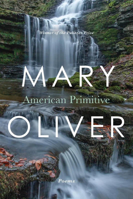 roundaboutbookstore960668