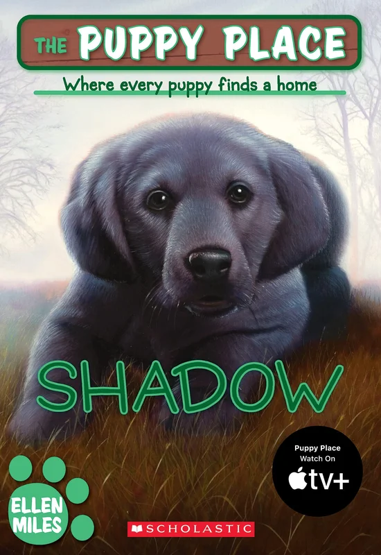 roundaboutbookstore990394