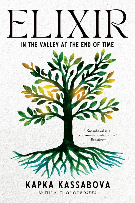 roundaboutbookstore992533