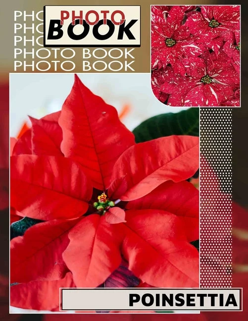 worldcaribbeanbooks1243329